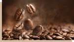 maison du cafe histoire grains 3