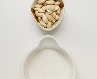 thumbnail article lait vegetal