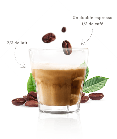 maison du cafe preparation au lait description desktop