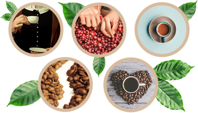 histoire cafe similaire v2