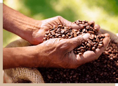 mains et grains de cafe